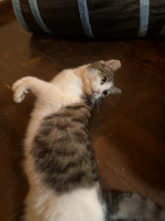 /album/89/whatsapp-image-2026-04-28-at-18-50-19-6-jpeg/